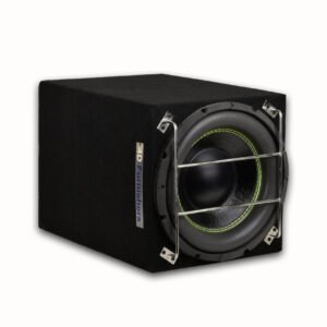 Best 12 Inch Car Subwoofer with Stainless Steel Grill