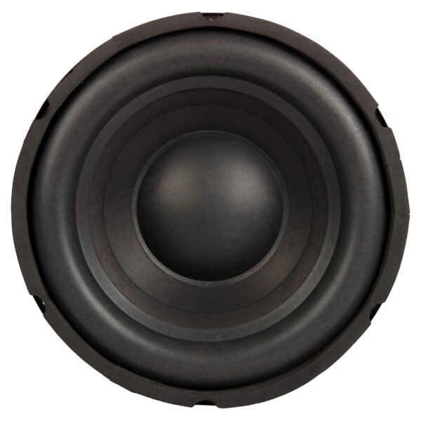 12 Inch  135 mm Double Magnets 300 Watts Subwoofer